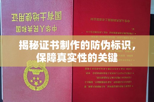 卫滨揭秘证书制作的防伪标识，保障真实性的关键